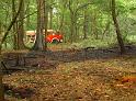 Waldbrand Bergisch Gladbach Bensberg P030